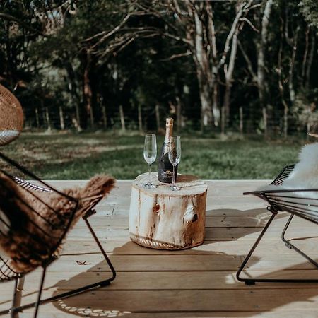 Blackwood Cabin Raglan Exteriér fotografie